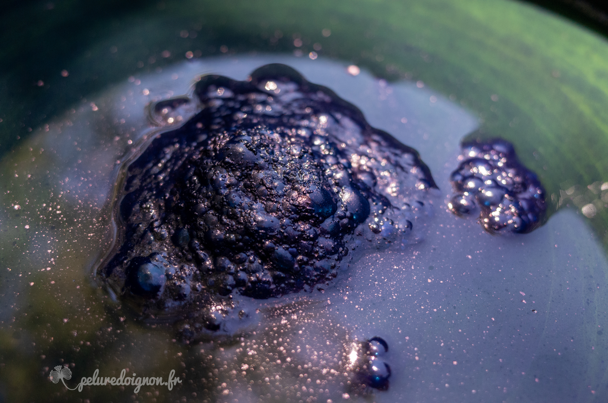 INDIGO & MOTIFS Stage de teintures naturelles